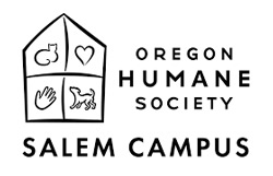 Salem summer camps